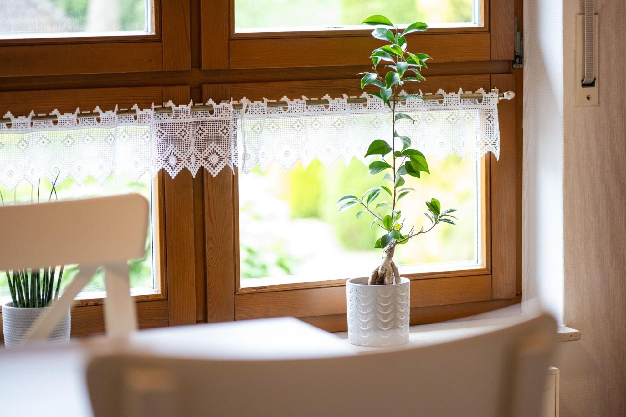 Ferienwohnung Pop S Huus 35226 Holtland Bagian luar foto